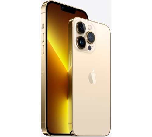 Смартфон Apple iPhone 13 Pro 256 GB Золотой